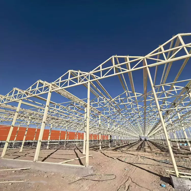 Estrutura de estufa de aço galvanizado